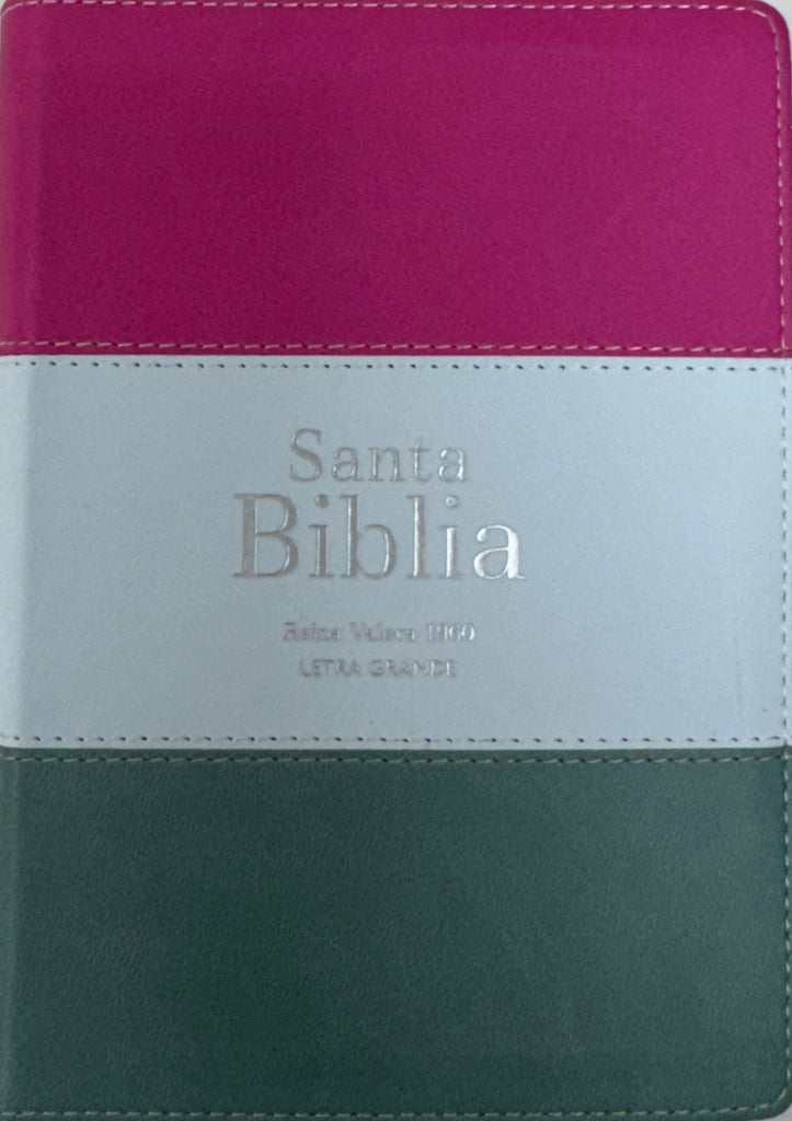 Biblia RVR 1960 Compacta Letra Grande 11 puntos Símil Piel Magenta Verde Glacial Verde Grisaceo con Cierre y Índice