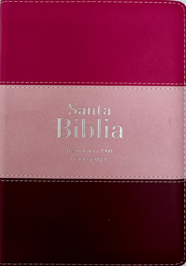 Biblia RVR 1960 Compacta Letra Grande 11 puntos Símil Piel Fucsia Rosado Rojo Granate con Cierre y Índice