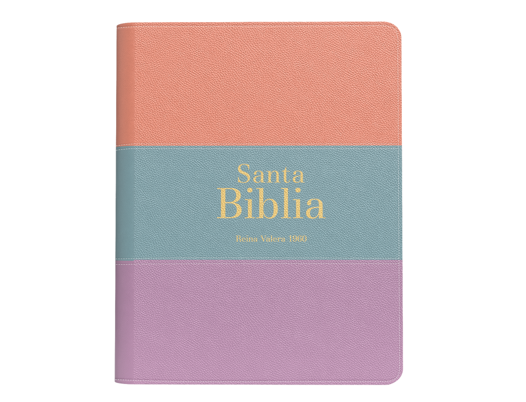 BIBLIA RVR 1960 BOLSILLO SIMIL PIEL TRICOLOR PALO ROSA CELESTE LILA