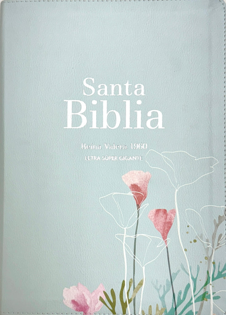 BIBLIA RVR 1960 LETRA GRANDE TAMAÑO MANUAL SIMIL PIEL MENTA FRESCA