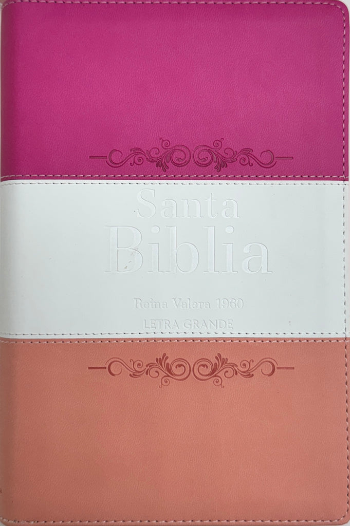 BIBLIA RVR 1960 LETRA GRANDE TAMANO MANUAL TRICOLOR GUINDA CREMA MELON CON CIERRE CON INDICE