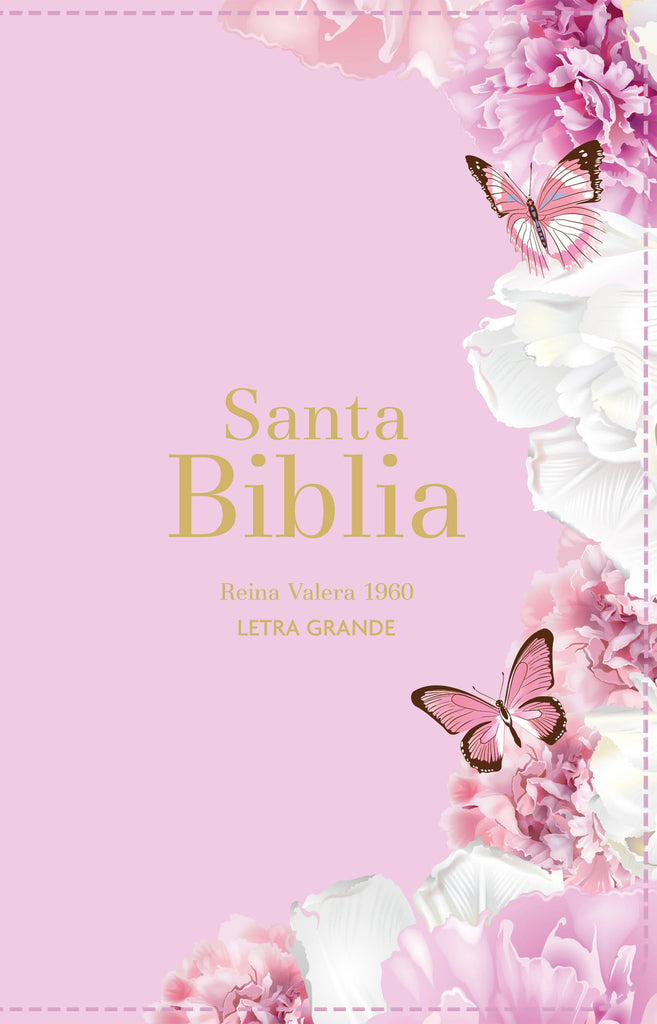 BIBLIA RVR 1960 LETRA GRANDE TAMANO MANUAL SIMIL PIEL ROSA CLARO