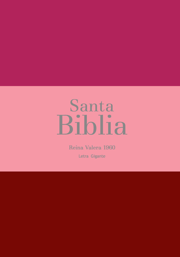 BIBLIA RVR 1960 LETRA GIGANTE 14 PUNTOS SIMIL PIEL TRICOLOR FUCSIA ROSADO ROJO GRANATE CON CIERRE E INDICE