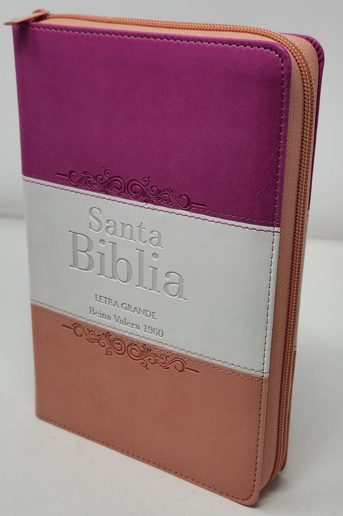 Biblia RVR 1960 Letra Grande Tamaño Manual Tricolor Guinda Crema Melón con Índice y Cierre
