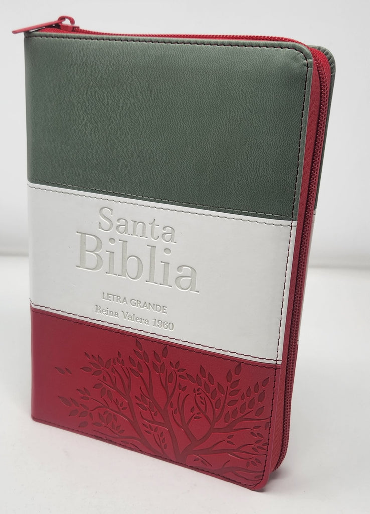 Biblia RVR 1960 Letra Grande Tamaño Manual Tricolor Gris Crema Rojo con Índice y Cierre