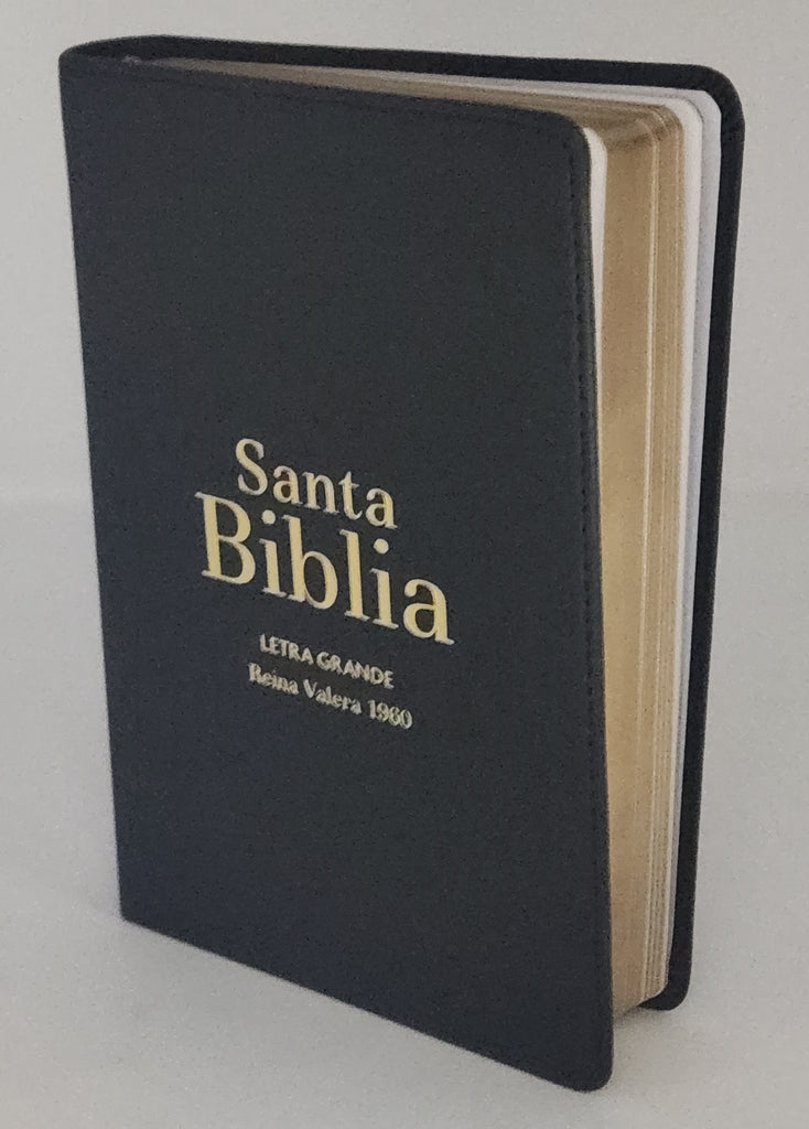 Biblia RVR 1960 Letra Grande Tamaño Manual Negro Vinilo